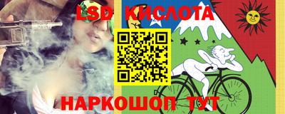 тгк Новозыбков