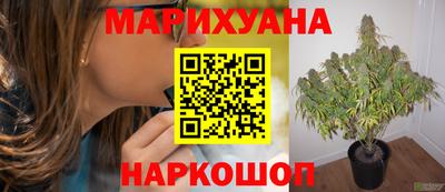 тгк Новозыбков