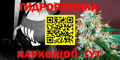 тгк Новозыбков