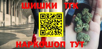 тгк Новозыбков