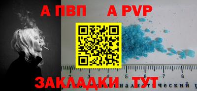 тгк Новозыбков
