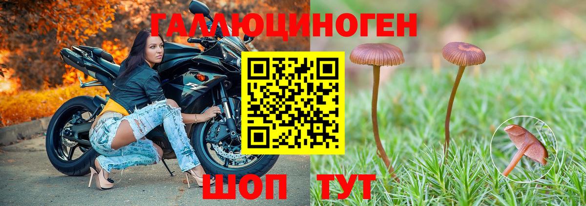 Альметьевск  Псилоцибиновые грибы MAGIC MUSHROOMS  Вход с VPN 